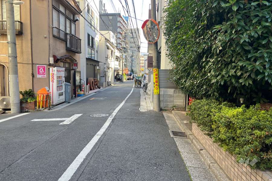 敷地の東側前面道路（北側から）