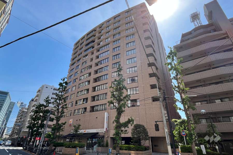 フォルム小石川の外観（北東側から）