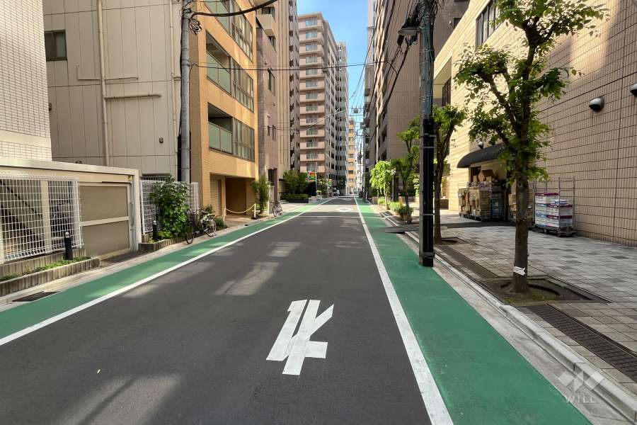 敷地の西側前面道路（南側から）