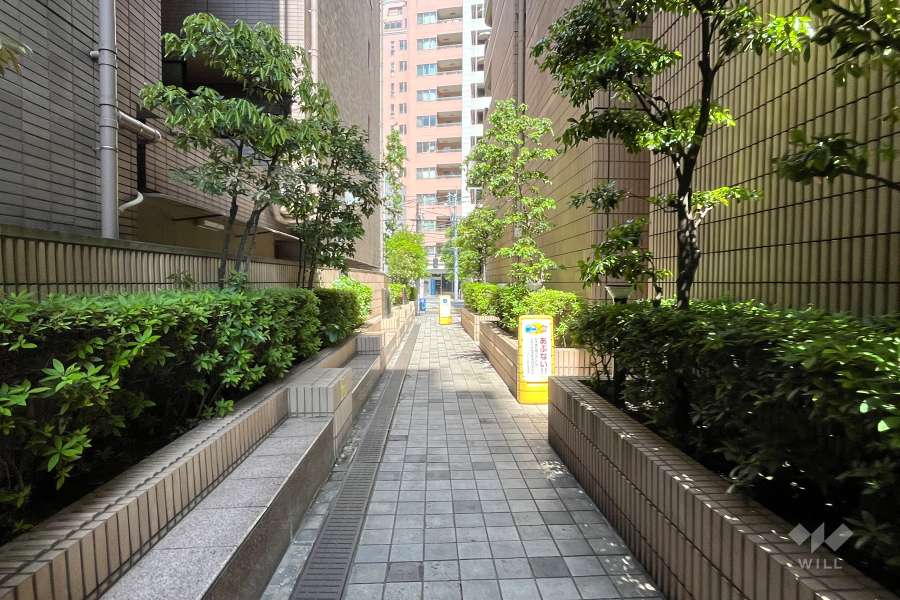 敷地内遊歩道