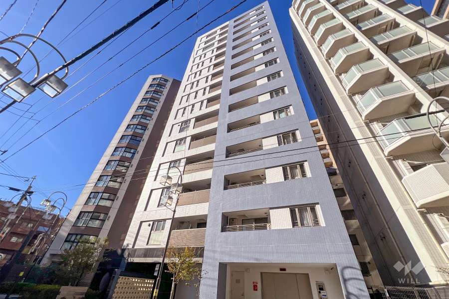 リビオレゾン小石川の外観（南東側から）