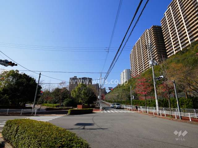 敷地南側の前面道路