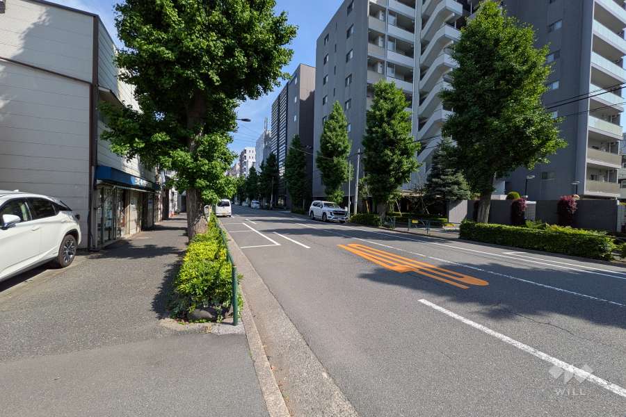 敷地北東側の前面道路