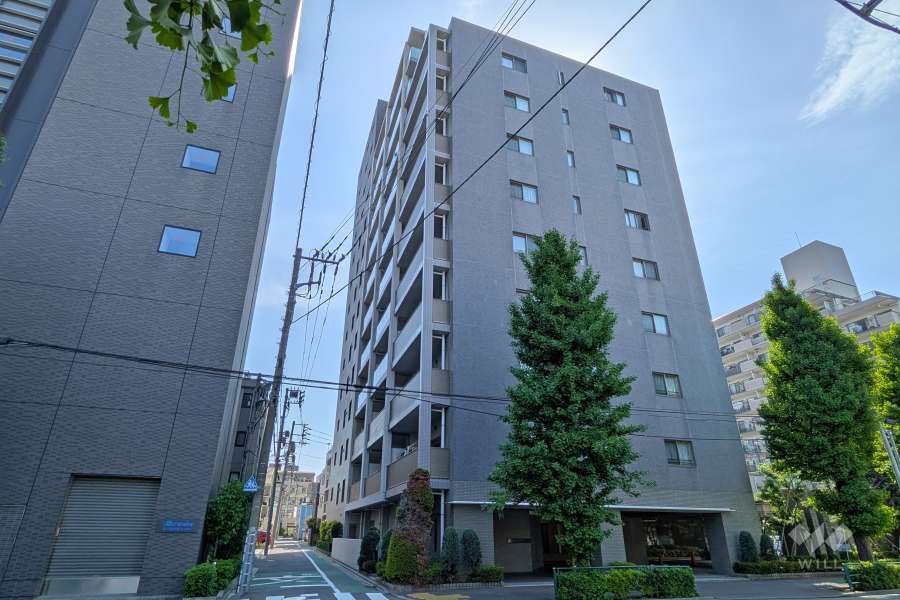 小石川アインスの外観（東側から）