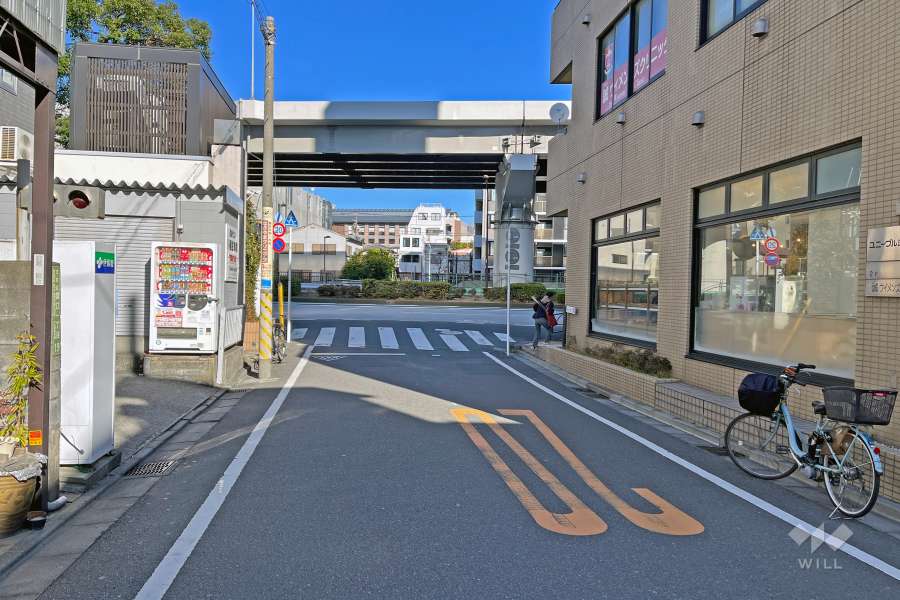 敷地の西側前面道路（南側から）