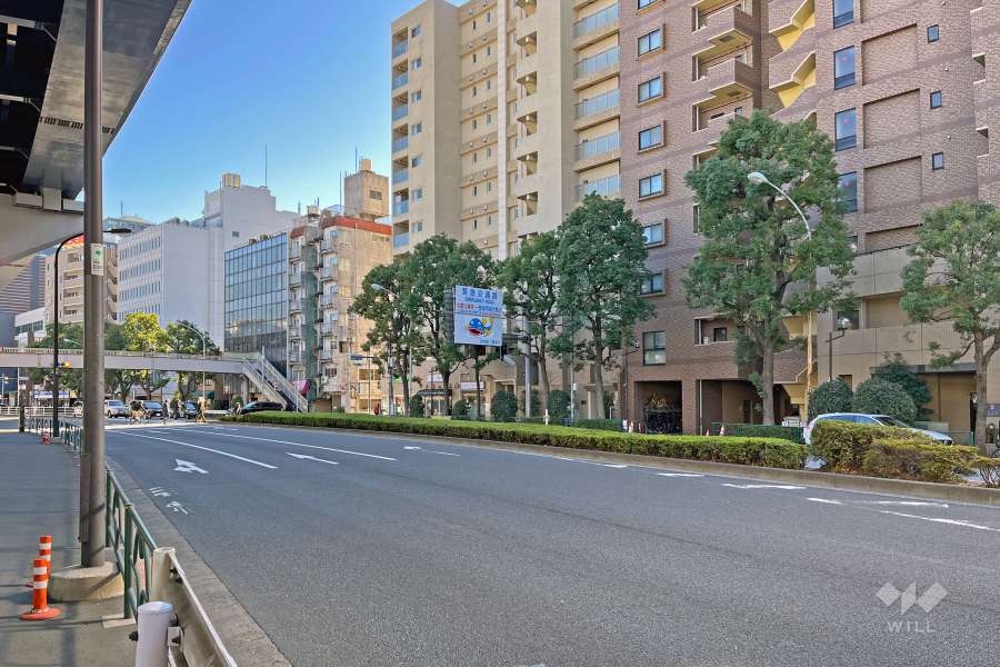 敷地の北側前面道路は都道8号線です（西側から）。