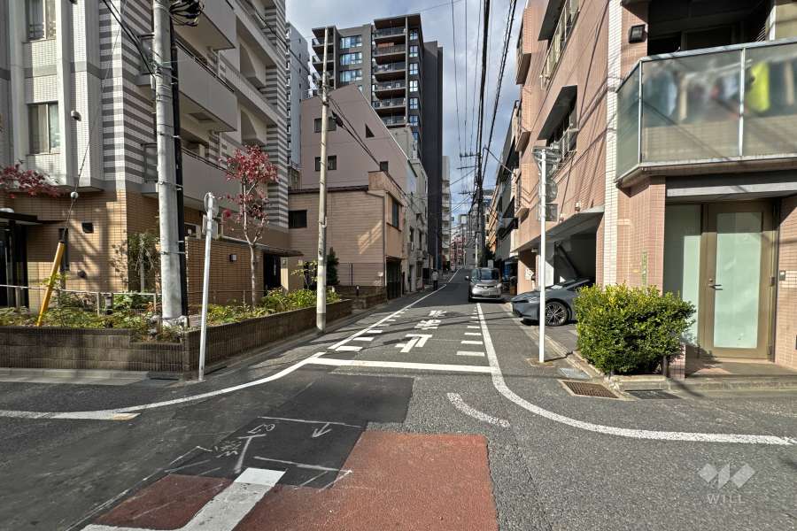 敷地の東側前面道路（南側から）