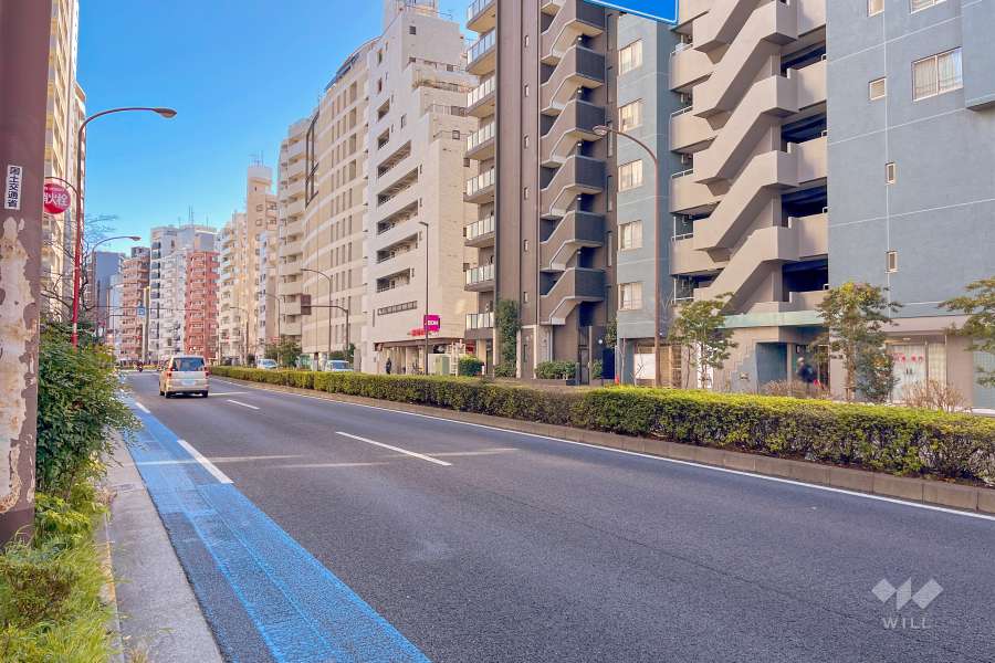 敷地北側の前面道路（西側から）