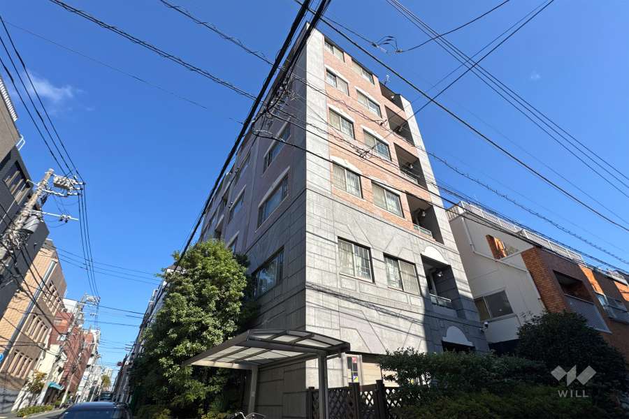 グランシティ御茶ノ水エクセランヒルズの外観（南西側から）.