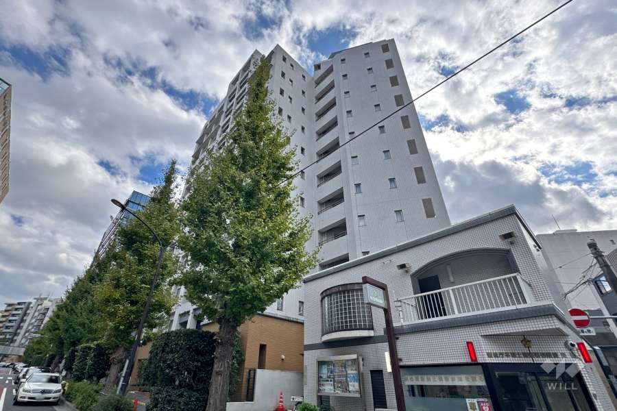 サンクタス本郷の外観（北側から）