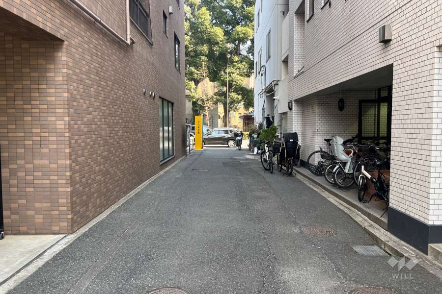 敷地の北側前面道路（西側から）