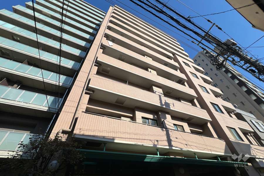 シーアイマンション根津宮永の外観（西側から）
