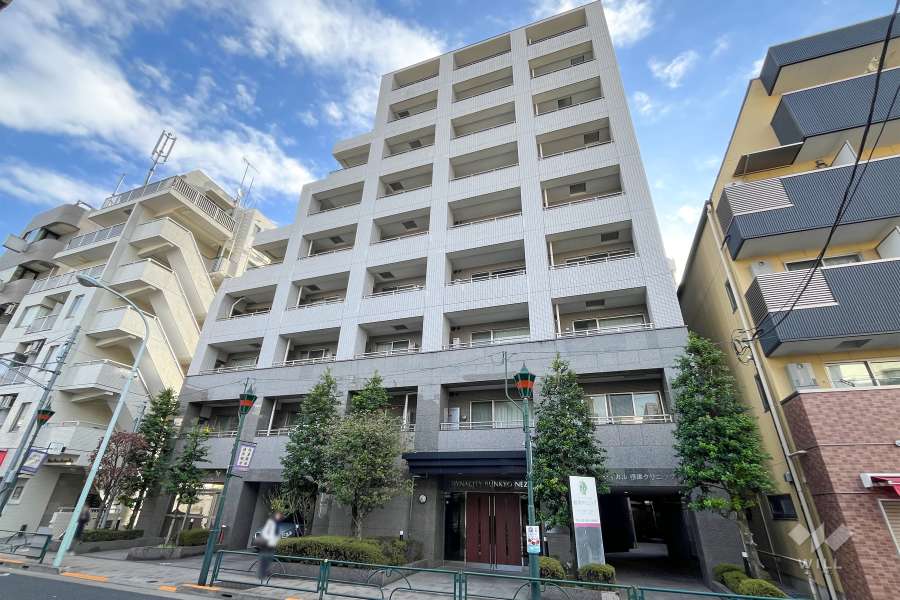 ダイナシティ文京根津の外観（北西側から）