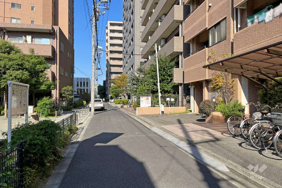 敷地南西側の前面道路（南東側から）