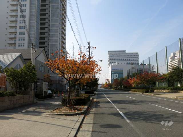 敷地北側の前面道路
