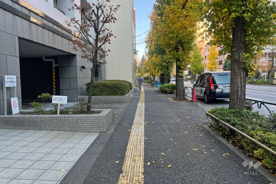 敷地の東側前面道路（南側から）