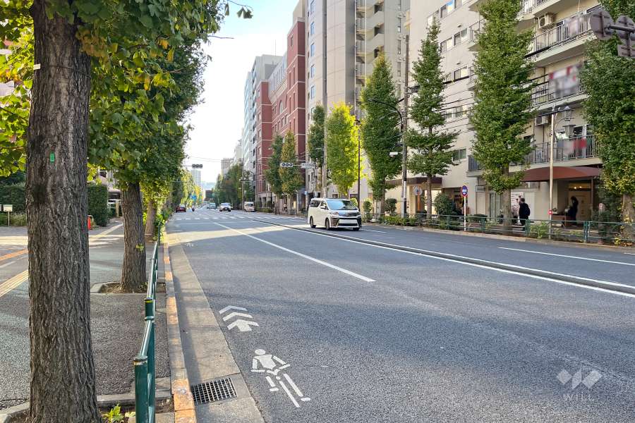 敷地東側の前面道路（北側から）