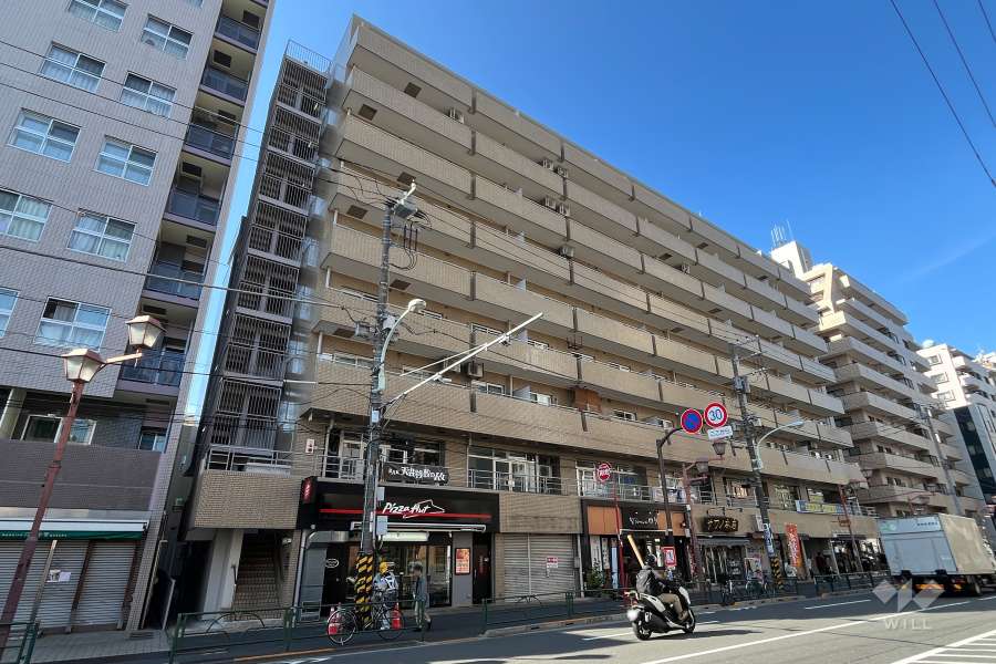 プレジデントハイツ根津の外観（東側から）