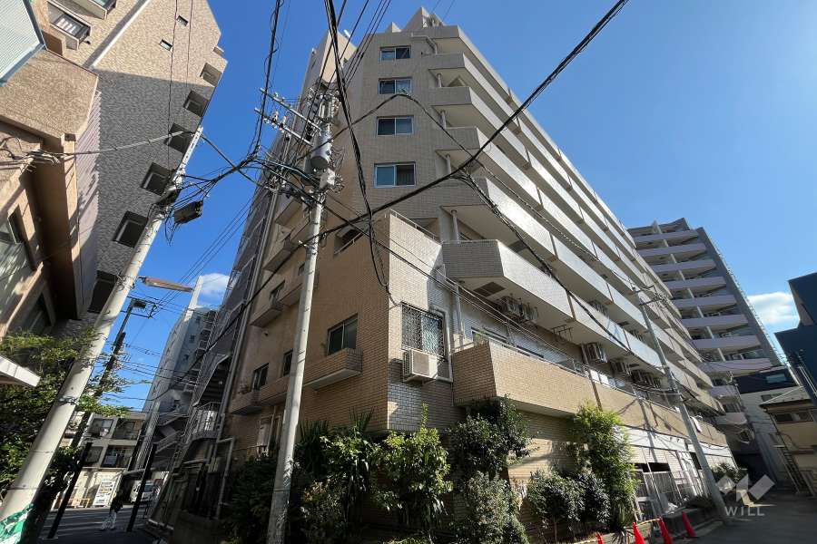 プレジデントハイツ根津の外観（北西側から）