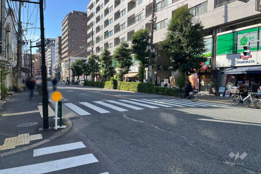 敷地東側の前面道路