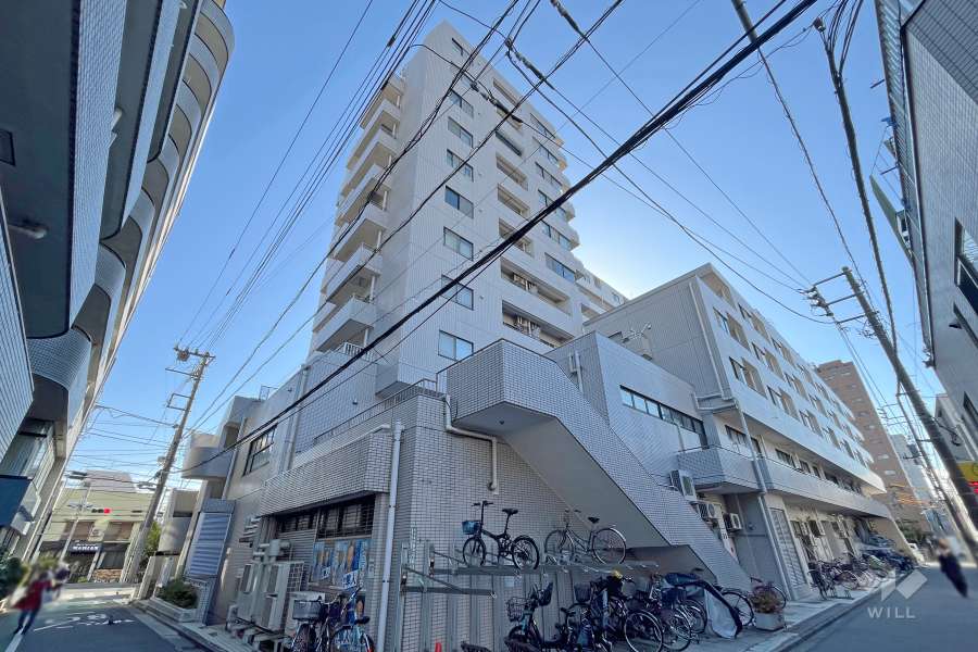 ルネ千駄木プラザの外観（北西側から）　