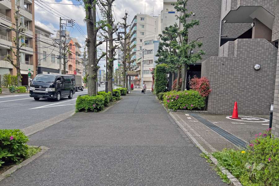 敷地の北東側前面道路は千川通りです（北西側から）。