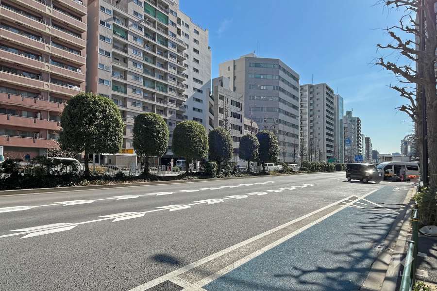 敷地の西側前面道路は白山通りです（北側から）。