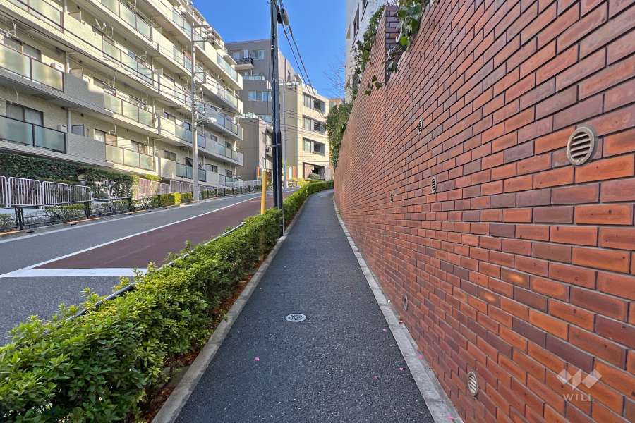 敷地の北東側前面道路（北西側から）