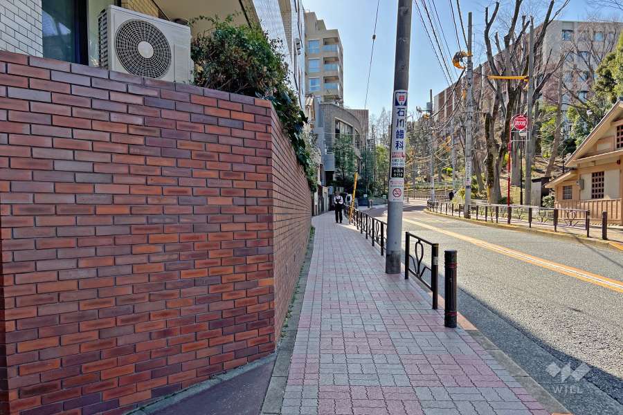 敷地の北西側前面道路は『窪町東公園』と『筑波大学 東京キャンパス』に面しています（北東側から）。