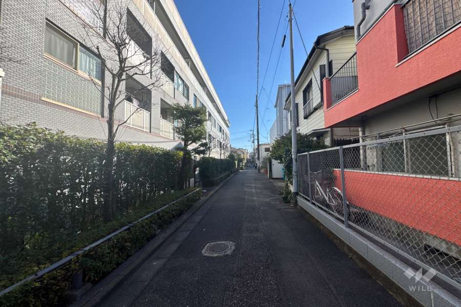 敷地の南西側前面道路（北西側から）