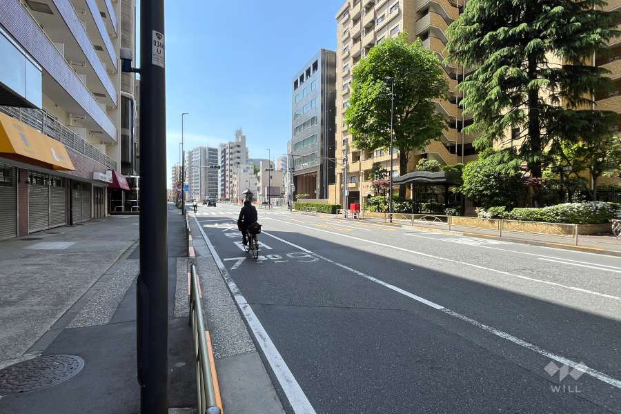 敷地の東側前面道路（北側から）