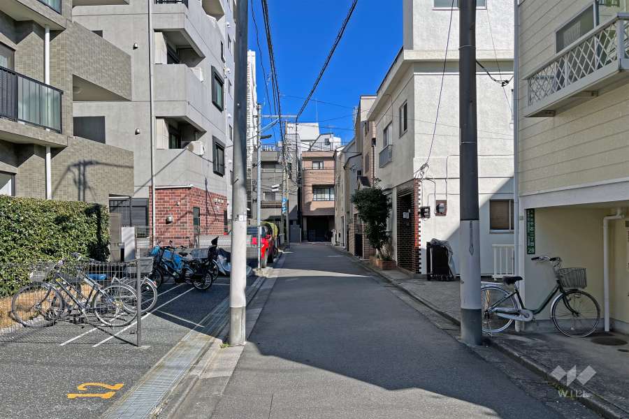 敷地の南東側前面道路（南西側から）