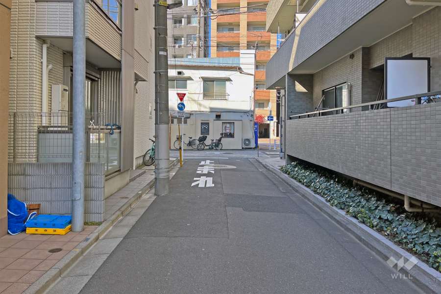 敷地の南西側前面道路（南東側から）