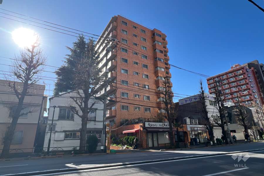 ハイネス文京本駒込の外観（南東側から）