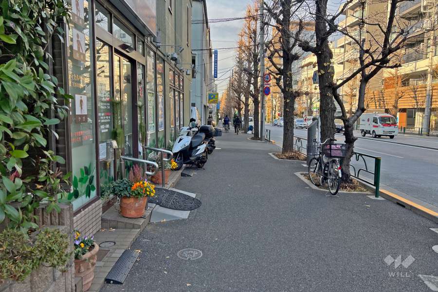 敷地の東側前面道路は都道455号（本郷通り）です（南側から）。