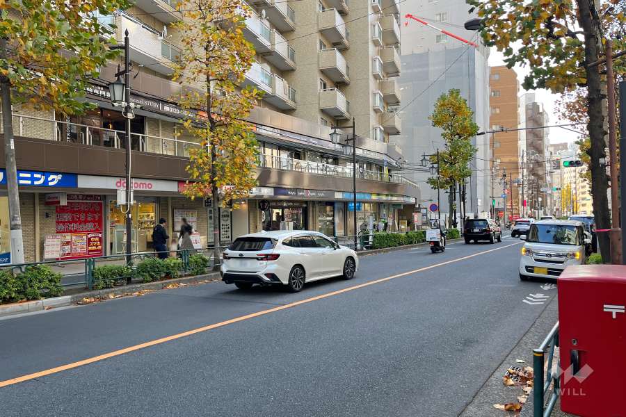 敷地の西側前面道路（北側から）
