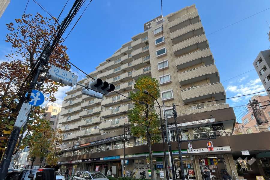 朝日白山マンションの外観（南西側から）