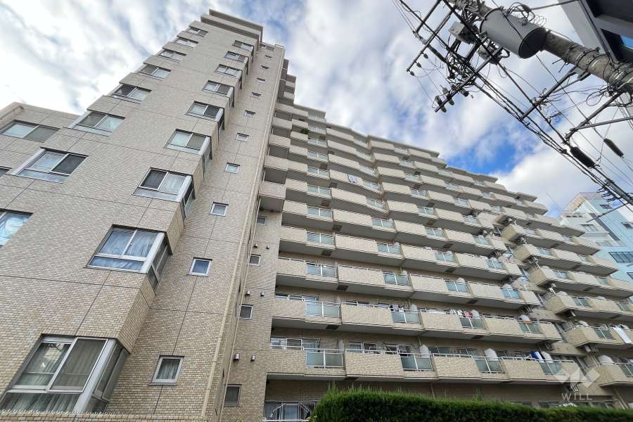 朝日白山マンションの外観（南東側から）