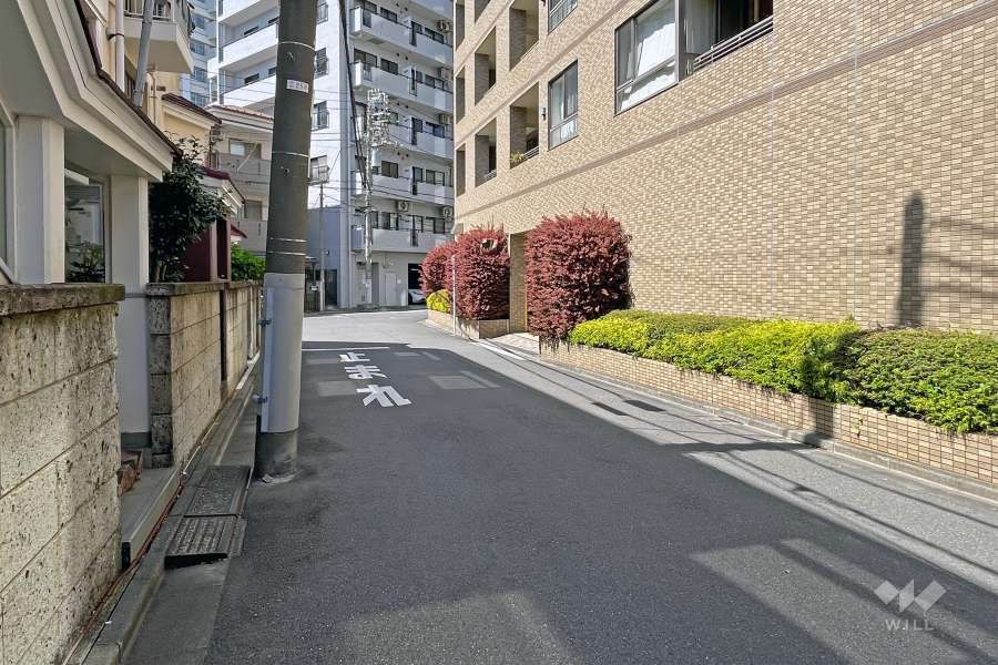 敷地南西側前面道路（南東側から）