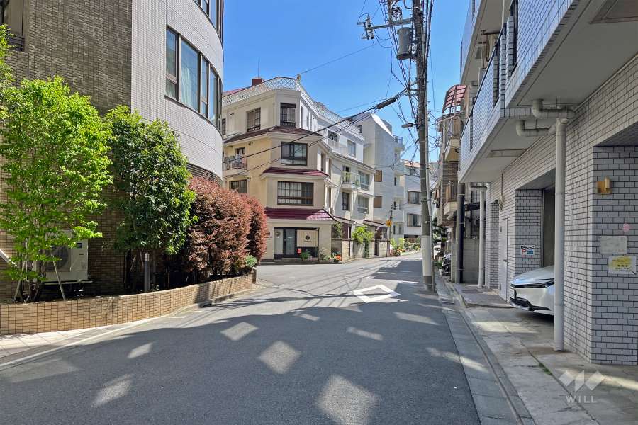 敷地の西側前面道路（北側から）