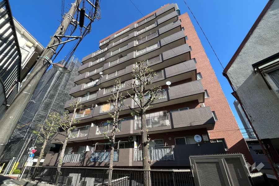 朝日千駄木マンションの外観（南西側から）