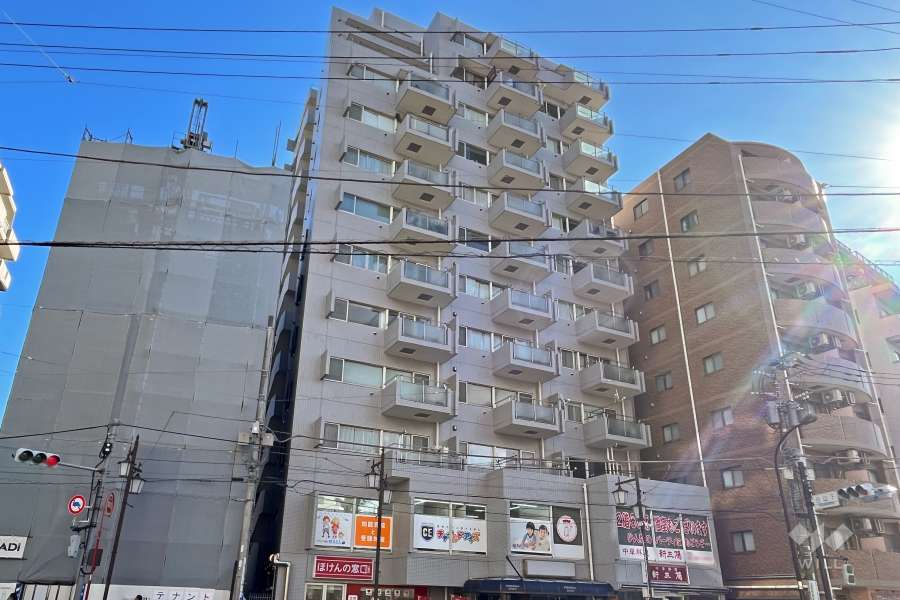 グランドシティ白山の外観（北西側から）