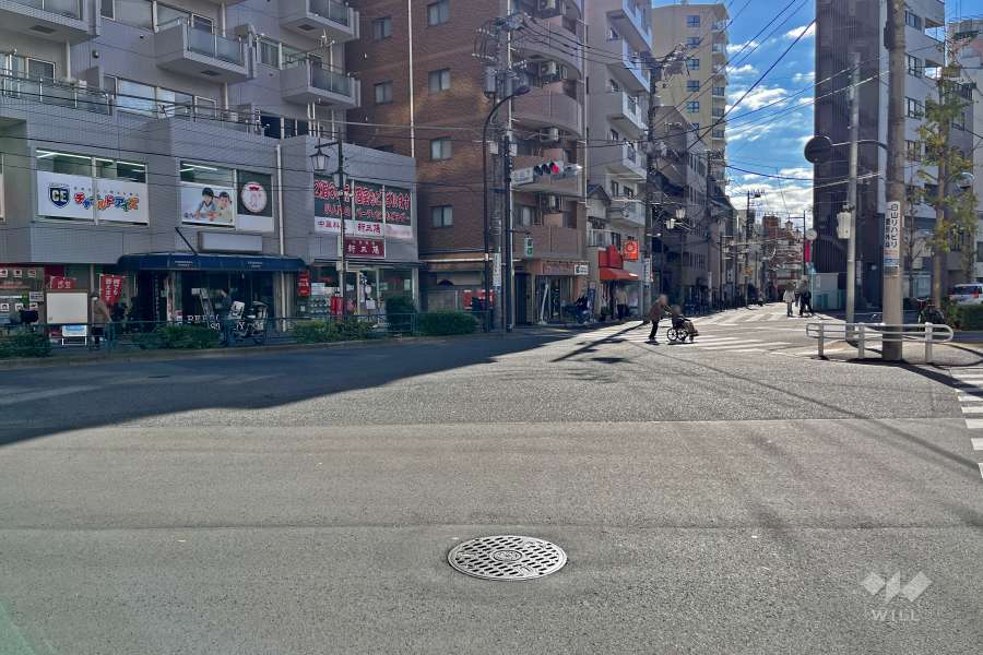 敷地西側の前面道路（北側から）
