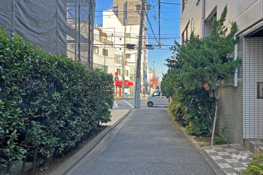敷地の南側前面道路（西側から）