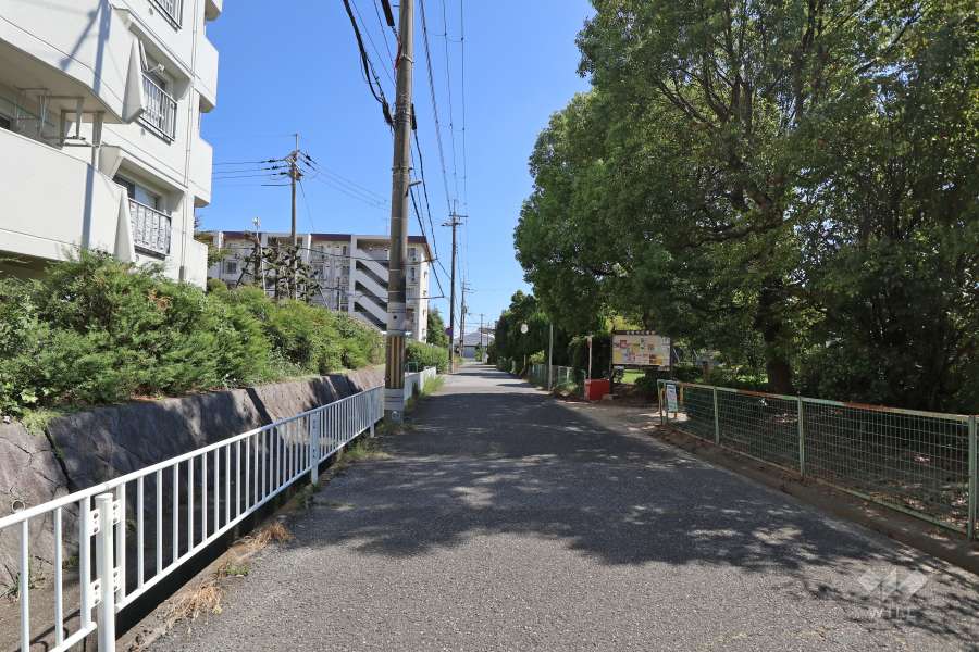 敷地西側の前面道路（北側から）