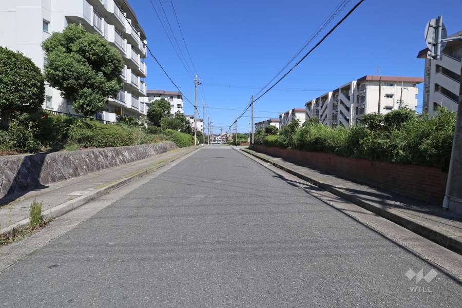 敷地南側の前面道路（西側から）