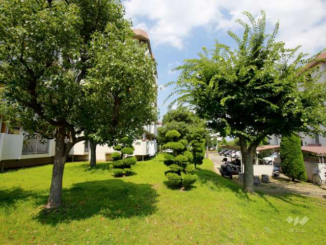 敷地南部分には植栽スペースがあります。
