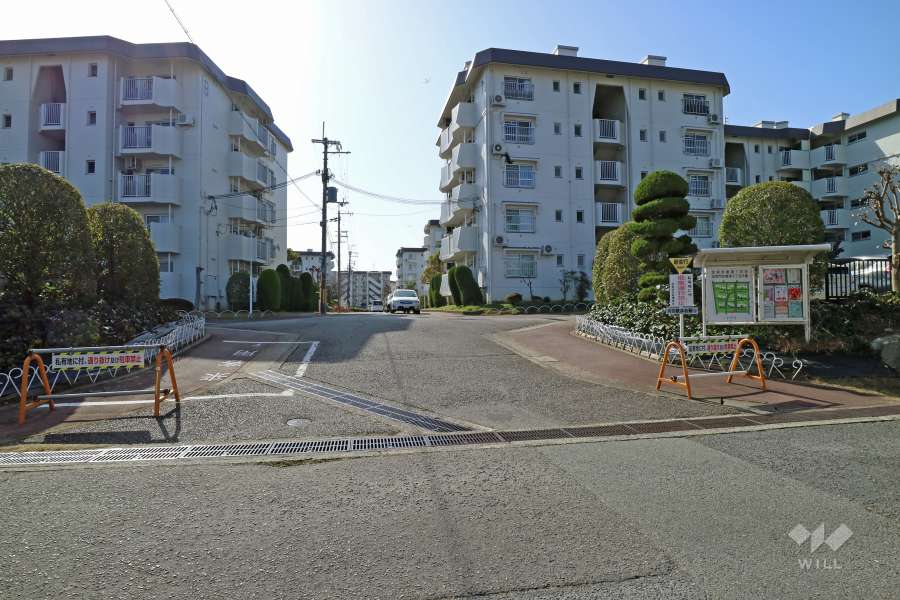 敷地の入り口