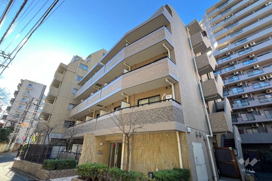 エスコート音羽の外観（北東側から）