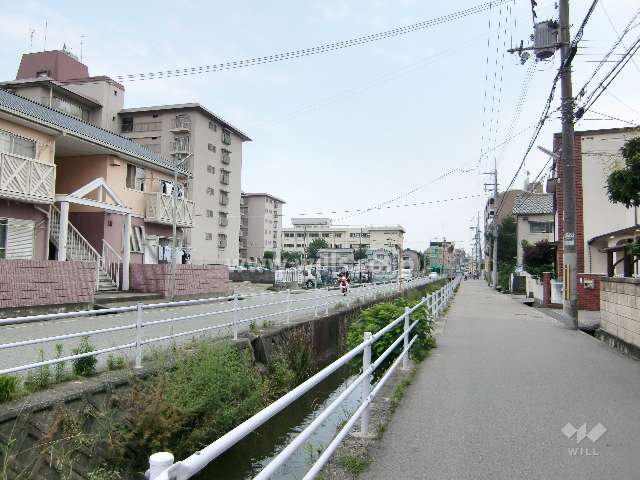 マンション西側の通り。周辺はマンションと一戸建てが混在する静かな住宅地です。